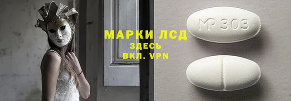 прущие грибы Аркадак