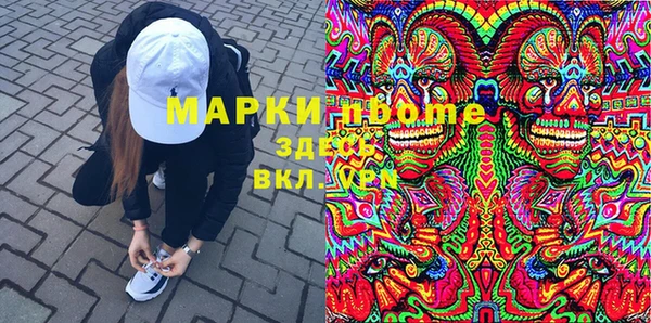 сатива Абинск