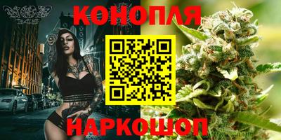 молекула духа Пугачёв
