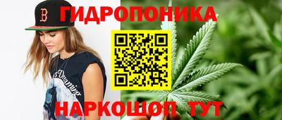 spice Пушкино
