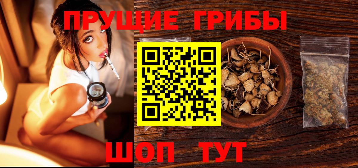 Галлюциногенные грибы Cubensis  Вход с VPN  Урюпинск 
